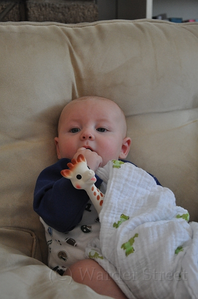 William's Fourteenth Week 02.jpg